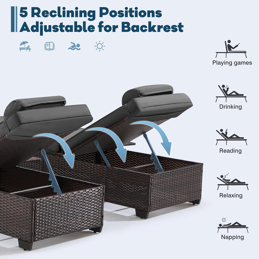 Outdoor 2-Pack Pool Chaise Lounge Chairs