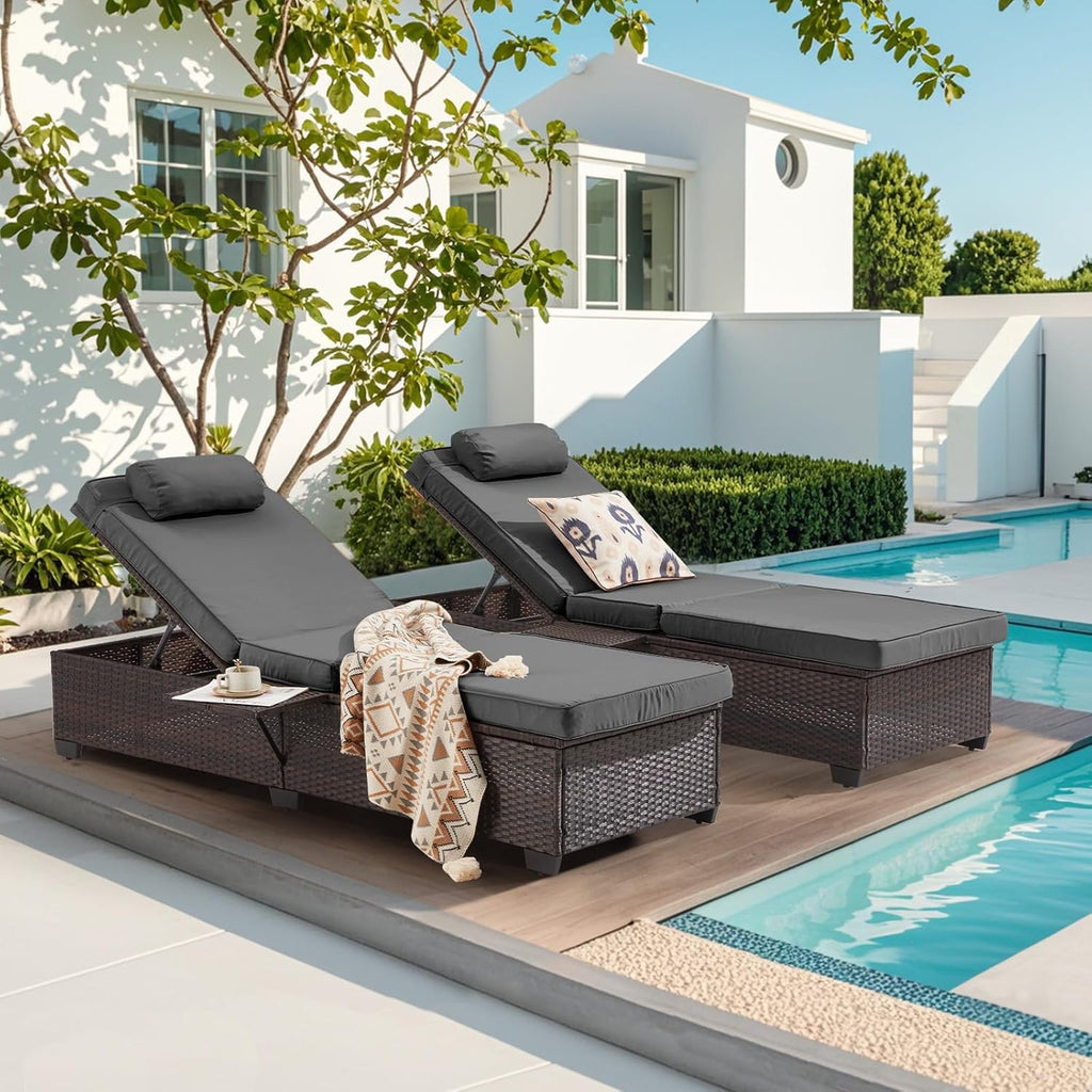 Outdoor 2-Pack Pool Chaise Lounge Chairs