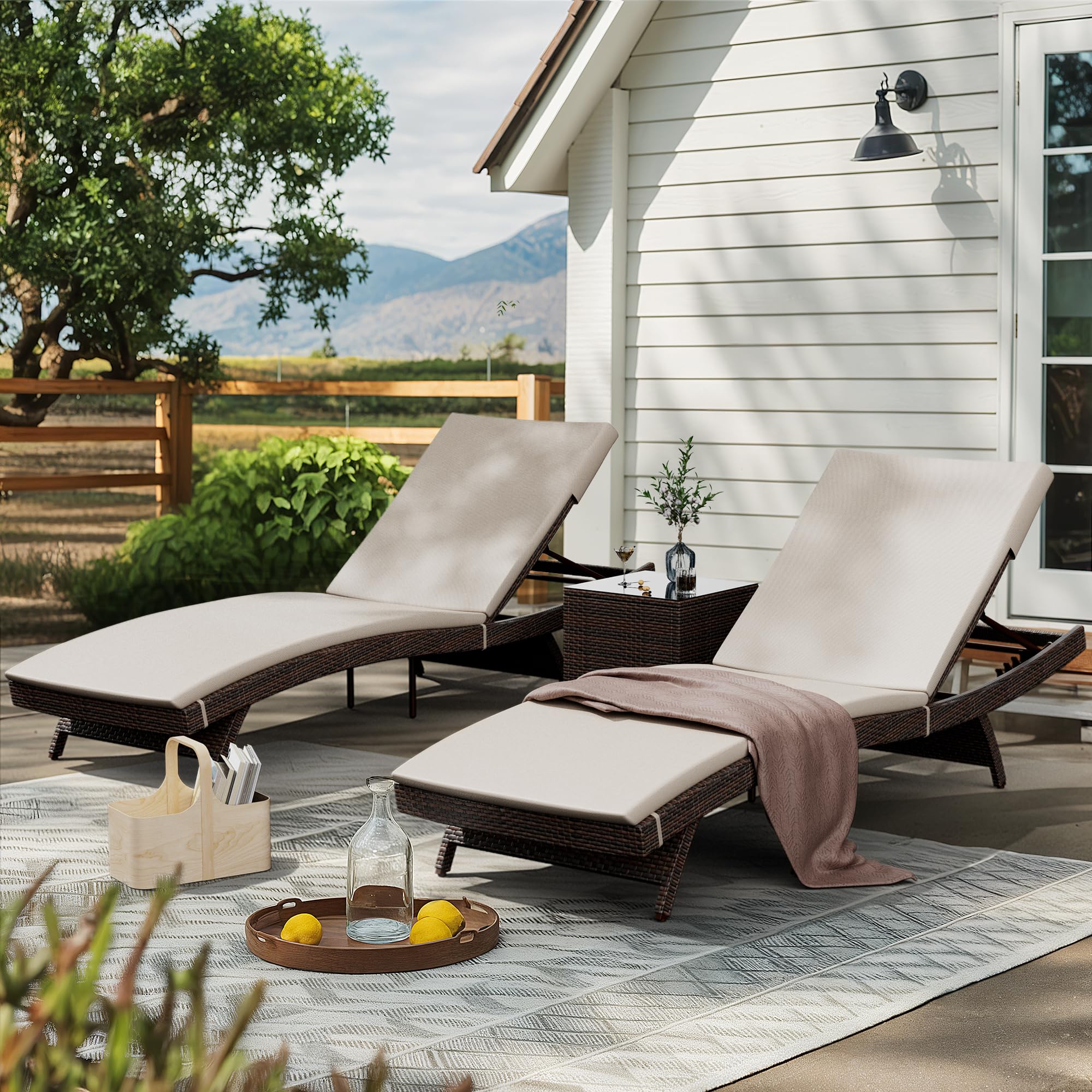 Pamapic Patio Chaise Lounge Set 3 Pieces with Adjustable Backrest and Removable Cushion, Outdoor Pool Chair for Patio Poolside Backyard Porch